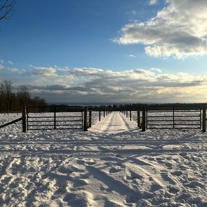 Meet your Posher, Helena